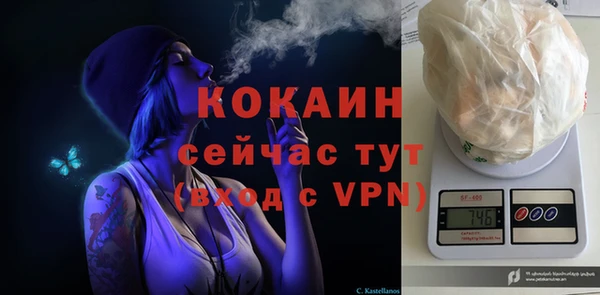 молекула духа Костерёво