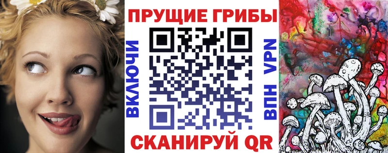 Псилоцибиновые грибы ЛСД  Купить где  Заводоуковск 